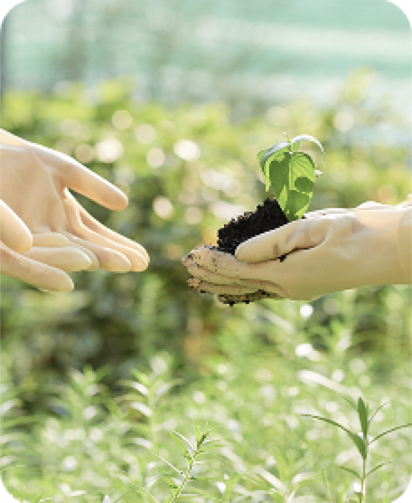 Community tree planting initiative